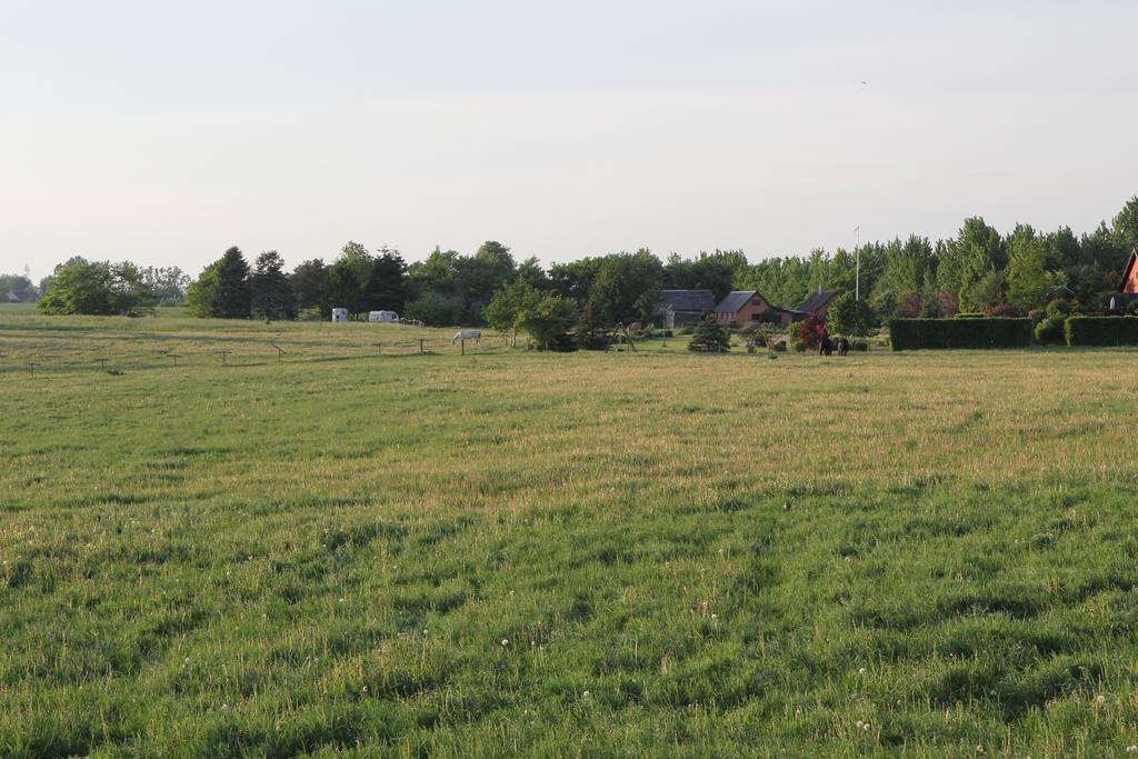 Strandsegard Ferielejlighed Ølsted Buitenkant foto